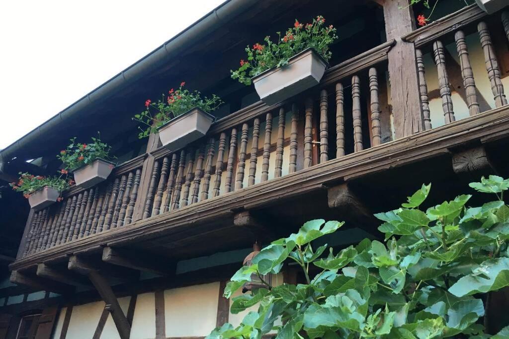Eckwersheim Gite Alsacien מראה חיצוני תמונה
